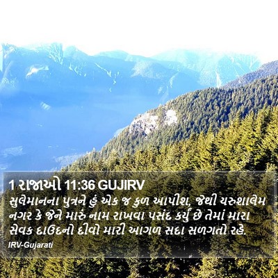 1 રાજાઓ 11:36 GUJIRV Bible Verse Image