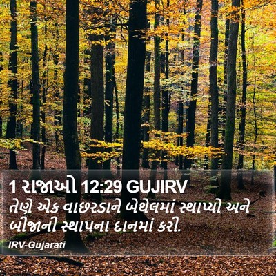 1 રાજાઓ 12:29 GUJIRV Bible Verse Image
