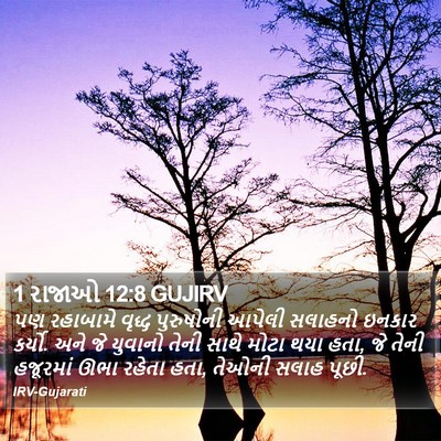 1 રાજાઓ 12:8 GUJIRV Bible Verse Image