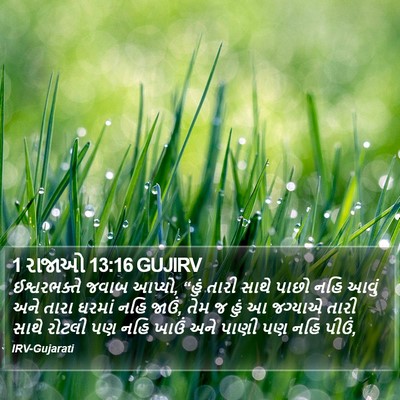 1 રાજાઓ 13:16 GUJIRV Bible Verse Image