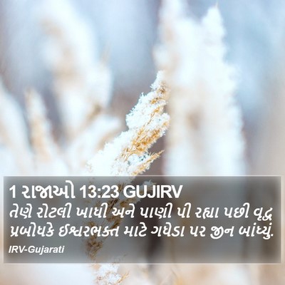 1 રાજાઓ 13:23 GUJIRV Bible Verse Image