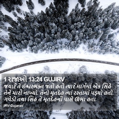 1 રાજાઓ 13:24 GUJIRV Bible Verse Image