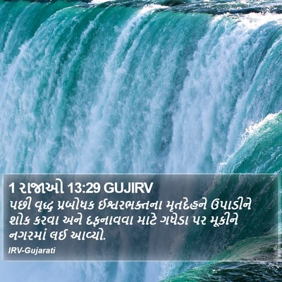 1 રાજાઓ 13:29 GUJIRV Bible Verse Image