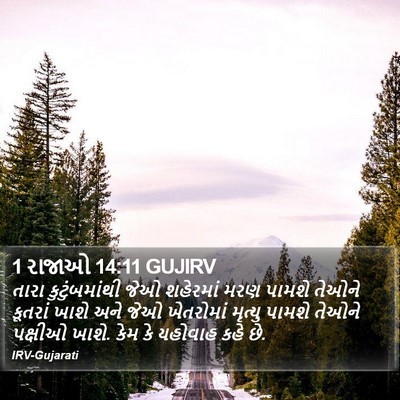 1 રાજાઓ 14:11 GUJIRV Bible Verse Image