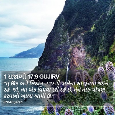 1 રાજાઓ 17:9 GUJIRV Bible Verse Image