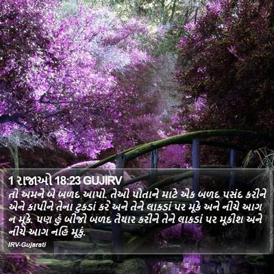 1 રાજાઓ 18:23 GUJIRV Bible Verse Image