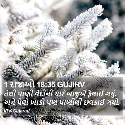 1 રાજાઓ 18:35 GUJIRV Bible Verse Image