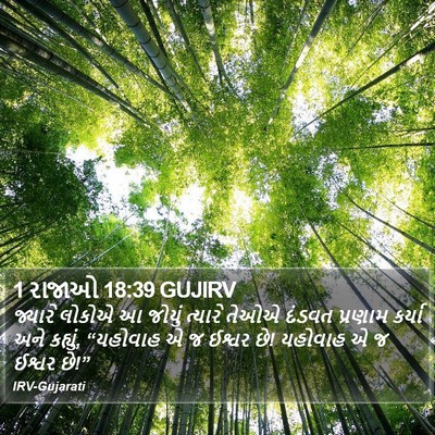 1 રાજાઓ 18:39 GUJIRV Bible Verse Image