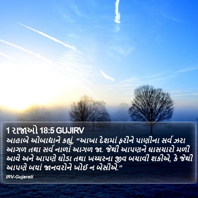 1 રાજાઓ 18:5 GUJIRV Bible Verse Image