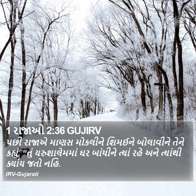1 રાજાઓ 2:36 GUJIRV Bible Verse Image