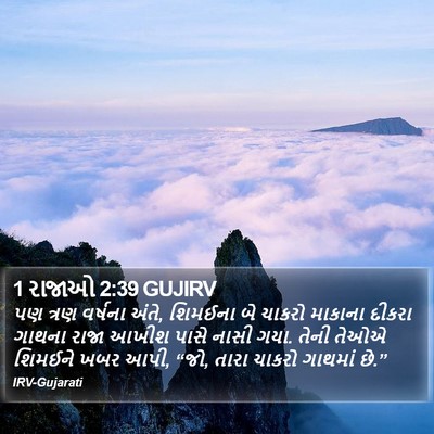 1 રાજાઓ 2:39 GUJIRV Bible Verse Image