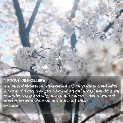 1 રાજાઓ 20:9 GUJIRV Bible Verse Image
