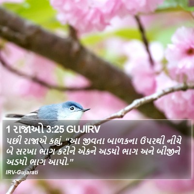 1 રાજાઓ 3:25 GUJIRV Bible Verse Image