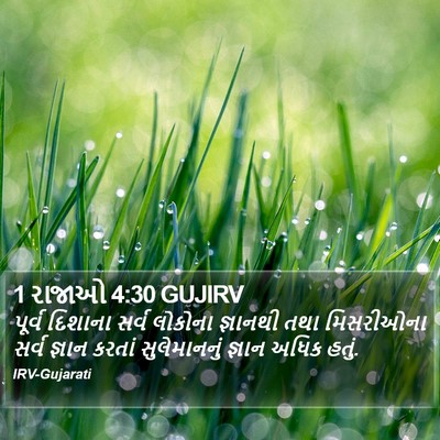 1 રાજાઓ 4:30 GUJIRV Bible Verse Image