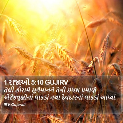 1 રાજાઓ 5:10 GUJIRV Bible Verse Image