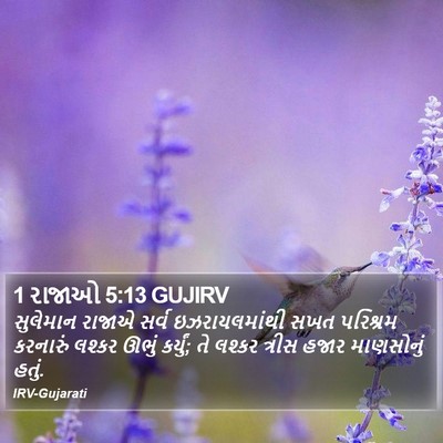 1 રાજાઓ 5:13 GUJIRV Bible Verse Image
