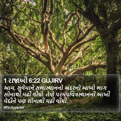 1 રાજાઓ 6:22 GUJIRV Bible Verse Image