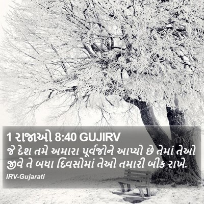1 રાજાઓ 8:40 GUJIRV Bible Verse Image
