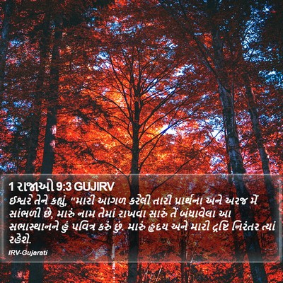 1 રાજાઓ 9:3 GUJIRV Bible Verse Image