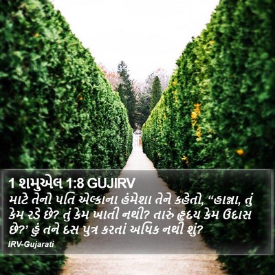 1 શમુએલ 1:8 GUJIRV Bible Verse Image