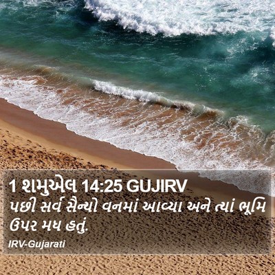 1 શમુએલ 14:25 GUJIRV Bible Verse Image