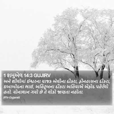 1 શમુએલ 14:3 GUJIRV Bible Verse Image
