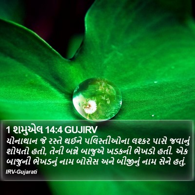 1 શમુએલ 14:4 GUJIRV Bible Verse Image