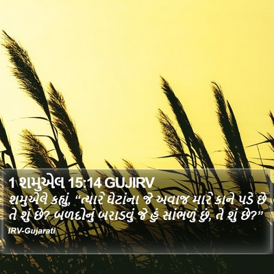1 શમુએલ 15:14 GUJIRV Bible Verse Image
