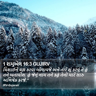 1 શમુએલ 16:3 GUJIRV Bible Verse Image