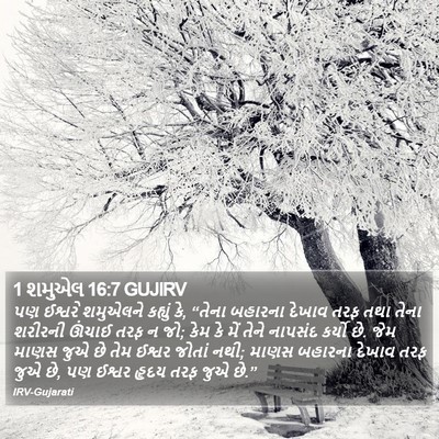 1 શમુએલ 16:7 GUJIRV Bible Verse Image