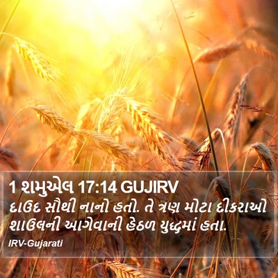 1 શમુએલ 17:14 GUJIRV Bible Verse Image