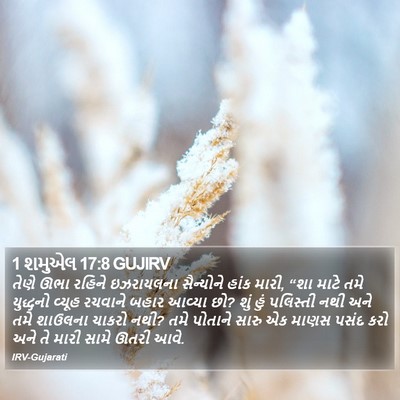 1 શમુએલ 17:8 GUJIRV Bible Verse Image