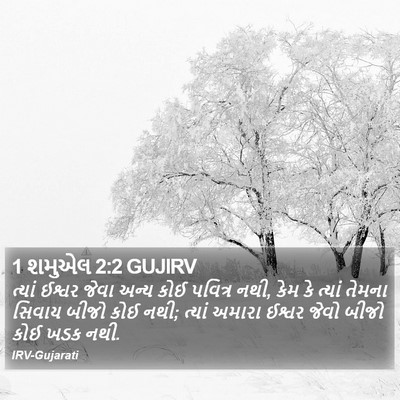 1 શમુએલ 2:2 GUJIRV Bible Verse Image