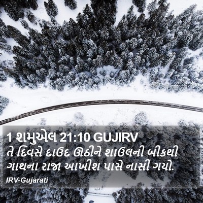 1 શમુએલ 21:10 GUJIRV Bible Verse Image