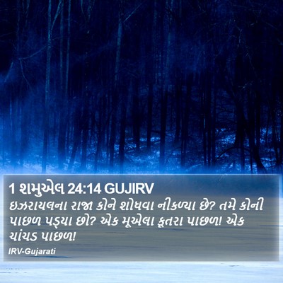 1 શમુએલ 24:14 GUJIRV Bible Verse Image