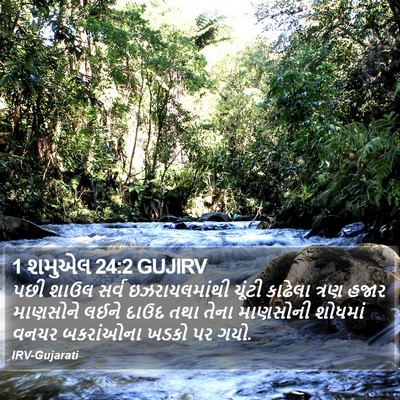 1 શમુએલ 24:2 GUJIRV Bible Verse Image