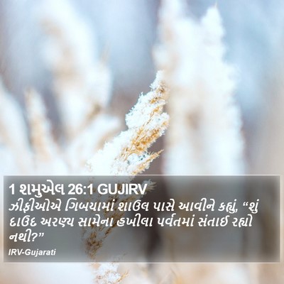 1 શમુએલ 26:1 GUJIRV Bible Verse Image