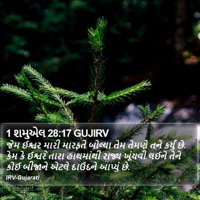 1 શમુએલ 28:17 GUJIRV Bible Verse Image