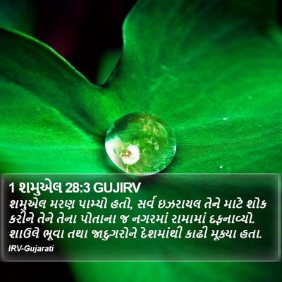 1 શમુએલ 28:3 GUJIRV Bible Verse Image