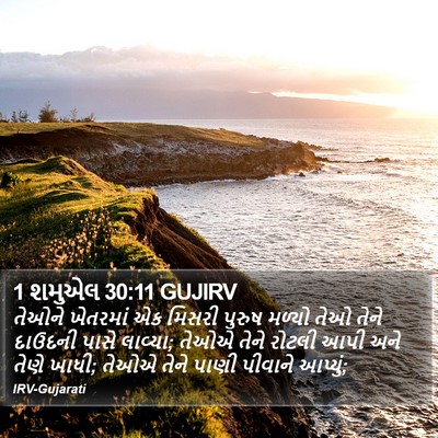 1 શમુએલ 30:11 GUJIRV Bible Verse Image