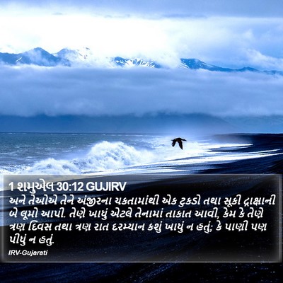 1 શમુએલ 30:12 GUJIRV Bible Verse Image