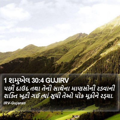 1 શમુએલ 30:4 GUJIRV Bible Verse Image