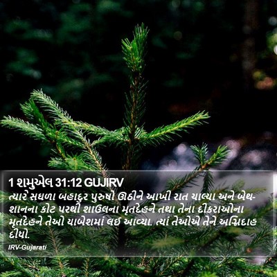 1 શમુએલ 31:12 GUJIRV Bible Verse Image