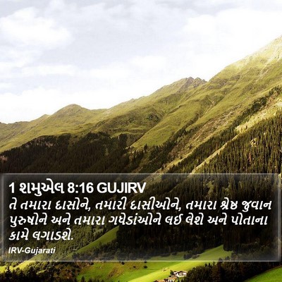1 શમુએલ 8:16 GUJIRV Bible Verse Image