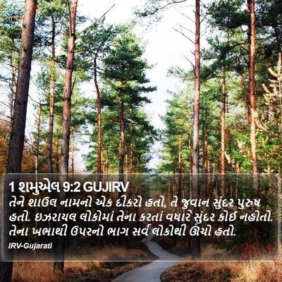 1 શમુએલ 9:2 GUJIRV Bible Verse Image