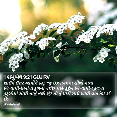 1 શમુએલ 9:21 GUJIRV Bible Verse Image