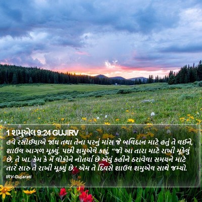 1 શમુએલ 9:24 GUJIRV Bible Verse Image