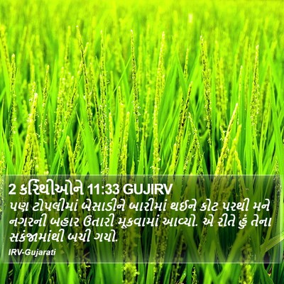 2 કરિંથીઓને 11:33 GUJIRV Bible Verse Image