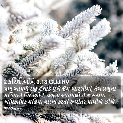 2 કરિંથીઓને 3:18 GUJIRV Bible Verse Image