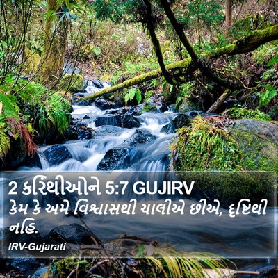 2 કરિંથીઓને 5:7 GUJIRV Bible Verse Image